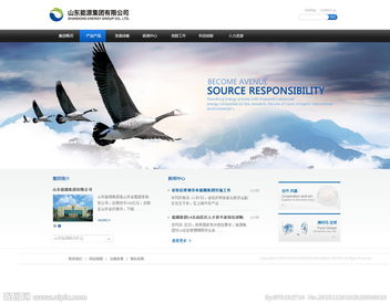 公司網(wǎng)站圖片與計(jì)算機(jī)網(wǎng)絡(luò)工程 構(gòu)建高效視覺與數(shù)據(jù)交互平臺(tái)